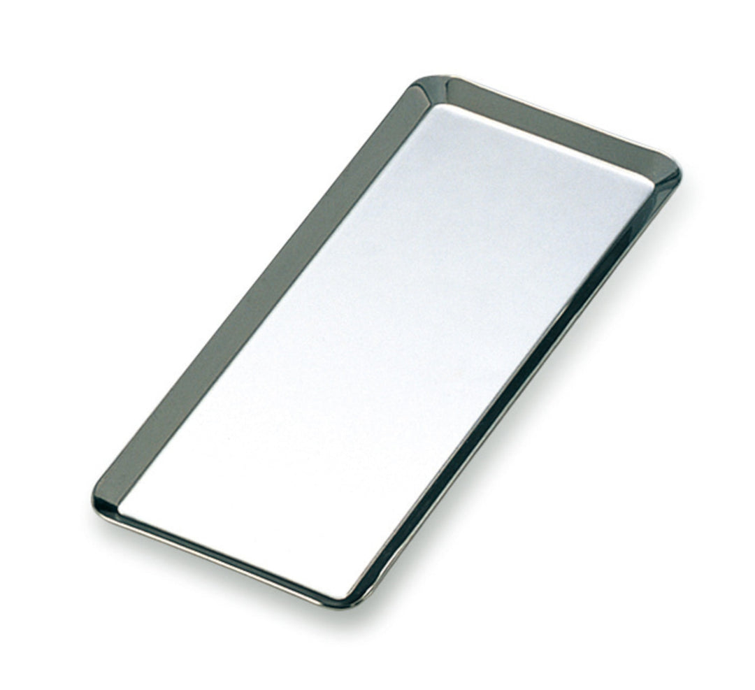 Rectangular Stainless Steel Tray