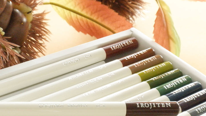 Irojiten Colour Dictionary - Set of 30 Pencils - Rainforest