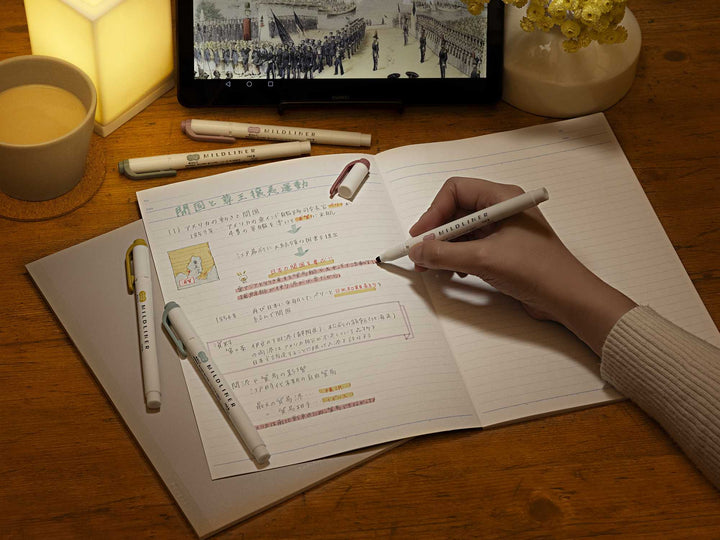 Mildliner Highlighter Markers Set of 5 - Calming