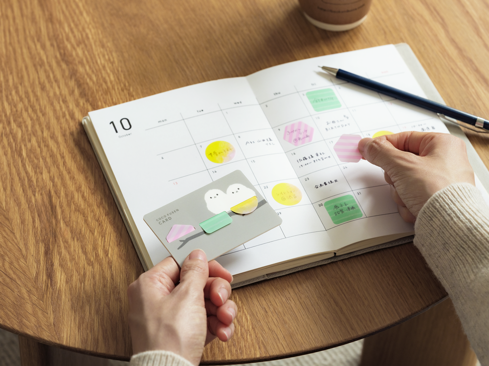 Coco Fusen Index Card - Tabs - Birds