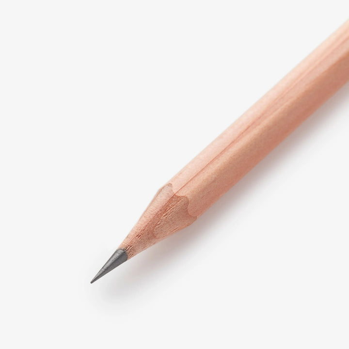 Palomino Blackwing - Rustic Box Set - Natural Graphite Pencils