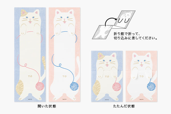 Expanding Memo - Cat